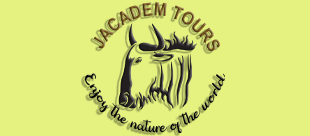 Tanzania Safaris