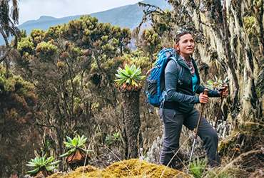6 Day Machame Route